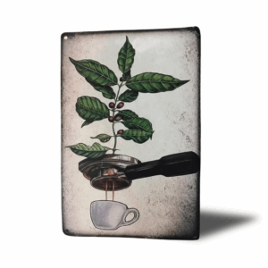 Decoración de Pared Exclusiva